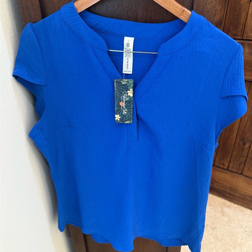 Blue Mandarin Collar Blouse with Long Sleeves